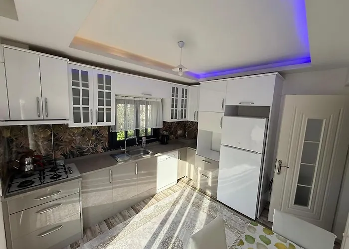 Seferihisarda Tam Muestakil 5 Odali Turizm Konutu 度假居